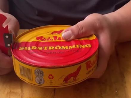 鲱鱼罐头,这么臭的食物有存在的意义吗#鲱鱼罐头 #黑暗料理 #科普知识 #科普一下 #鲱鱼罐头挑战