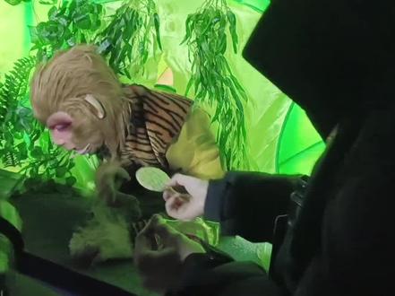 #长春雪饼猴回应为啥不吃雪饼。到点开饭,看看#猴哥今晚想吃啥?快拿你的家乡特产前来投喂!#长春猴哥#秀我中国 @王铁柱(雪饼猴🐒)