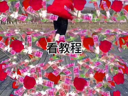 如何把人放进玫瑰花球里,今天出了个教程,素材我放到了视频的结尾,喜欢的自取#一键剪同款 #视频教程素材 #视频教程#玫瑰球 @抖音小助手