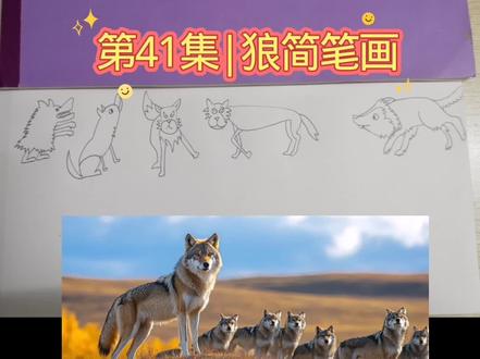 第41集|狼简笔画!这狼咋画风突变啦#每天跟我涨知识 #简笔画 #画画 #手绘画 #真实经验分享计划