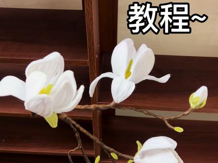 扭扭棒玉兰花教程#扭扭棒手工教程#扭扭棒玉兰花材料包#古风花束#年宵花#一岁一礼