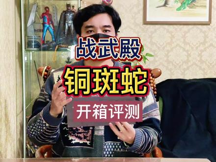 战武殿铜斑蛇开箱评测
#wargame #真人cs