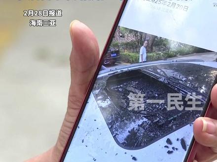 三亚一小区椰子掉落砸中小车,车辆定损5050元,物业拒绝担责,事后椰子树粘贴上了“后果自负”。