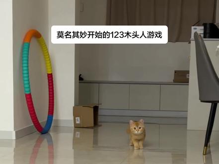 一天玩n遍…
#123木头人游戏 #猫咪游戏 #猫 #猫成精了