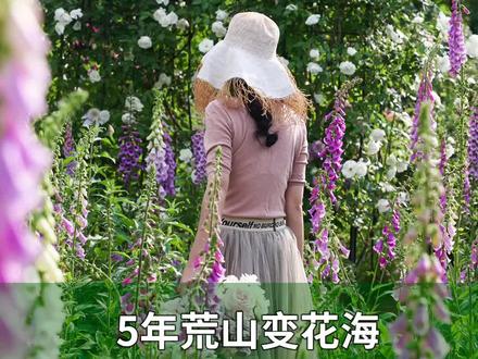 5年荒山变花海,养花种菜实现人生梦想
@抖音小助手 #养花 #园艺 #爱生活爱养花
#乡村守护人