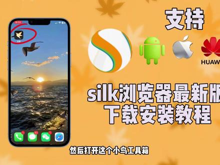 《厨师胖虎》silk浏览器下载教程#silk#silk浏览器#silk浏览器如何下载
