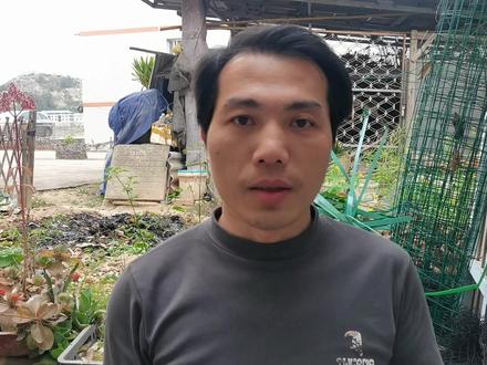 吃完枇杷,核别扔,拿来育苗或做盆景,方法简单