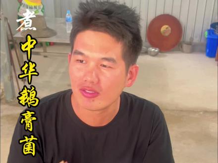 尝一口中华鹅膏菌的鲜美,让人流连忘返