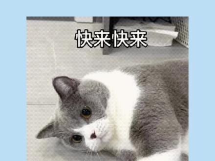 高考志愿填报十大误区,一定要避免!#高考 #志愿填报 #涨知识