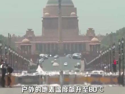 地表80℃!柏油路融化、鸡3小时热死,印度高温到底多恐怖 #印度高温 #高温预警