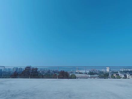 青春期少女!!!
#群青 #青春 #宅舞 #青春疼痛文学 #水手服