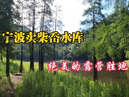 实地探访浙江宁波卖柴岙水库,穿越丛林到达水杉林,沿途风光秀丽 #原始森林 #户外探险 #山野自然 #林道穿越