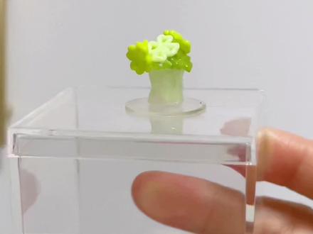 四个豆,能做个啥?
🍀四叶草几片叶子?四个豆做一个试试?没忍住,做了一盆!还挺好看的!胶水不错,粘的非常牢固!#抖音第0届拼豆大赛 #拼豆人假期MVP结算画面 #当我拼完最后一颗豆 #我的拼豆日记 #上热门话题🔥🔥🔥 @抖音小助手 @DOU+小助手 @DOU+上热门