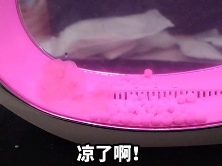 水母在家也能养了!网购了一群赤月水母,没想到刚到家就凉了