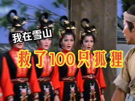 我在雪山救了100只狐狸 #邵氏 #酱板鸭