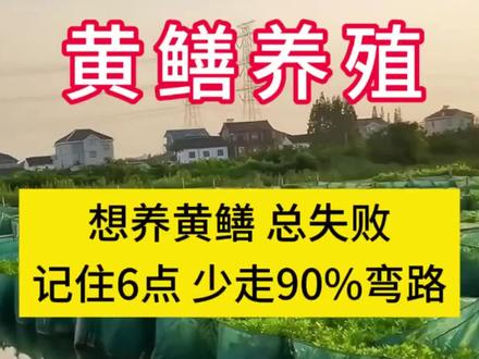 想养黄鳝总失败,记住这6点少走90%的弯路#黄鳝养殖 #鳝鱼养殖 #水产养殖 #三农创业 #野生黄鳝