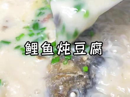 你为什么在家炖的鱼汤不够浓白,还特别腥,是因为主要的几个关键步骤没有做对#鲤鱼 #鱼汤 #鲫鱼豆腐汤 #鲫鱼汤 #抖音美食推荐官
