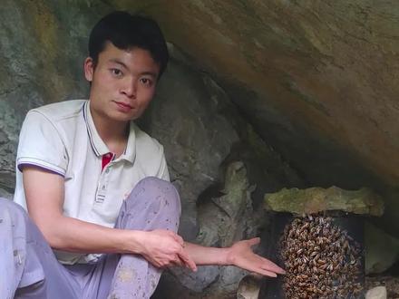 #诱蜂 用这个方法就能成功把蜜蜂引来蜂桶里面