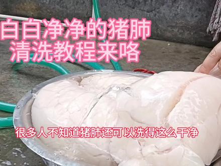 原来猪肺可以这样洗,一个方法教你洗的白白净净,吃起来更放心 #猪肺处理方法 #乡村守护人 #农村美食