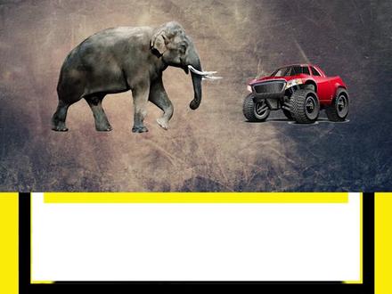 陆地最强生物盘点!狮子老虎pk,谁有资格排在前3?#神奇动物在抖音 #涨知识 #科普