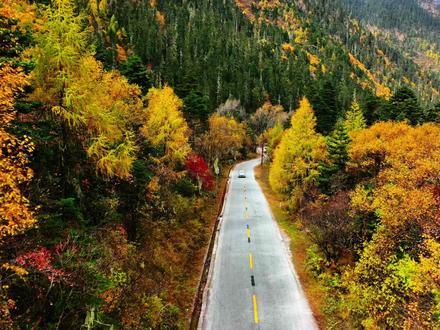 跟着《奔跑吧》天路篇的进墨视频笔记, 一起走进墨脱,视频笔记之扎墨公路起点#墨脱文旅 #西藏旅游 #奔跑吧