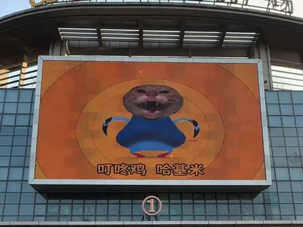 雷霆拼好歌!这些热梗你都知道吗 不知道🤷♀️我的鸽子很曼妙!#如皋吾悦广场 #疯狂的鸽子 #抽象 #2025热梗 #雷霆