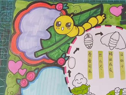手抄报,蚕宝宝的一生。#创意画 #在家画画