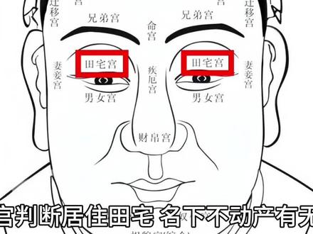 #我要上热门 田宅宫”判断居住田宅、名下不动产有无状况
田宅宫位于田宅宫位于眉毛与眼之间,是眼睑的部位,主名望和名声与房屋、地产、田产。论田宅共要配合,天仓地阁。
天庭要饱满,地阁要朝归,色明而润,眼盖光滑丰满,眉不压目,主田宅进益。如只眼盖丰润,则主童年时不快乐,或父母关心不够。
感兴趣的朋友,可留下出厂日期,为你解惑!好了,废话不多说,咱们继续相关的话题。
一、眼睑宽广而美的人
个性良好温和。居住的环境极佳。能得长辈照顾提携,获得遗产。
二、上眼睑狭窄而陷的人
个性比较急。居住环境较差。做房产买卖极易吃亏,不易赚钱。
三、眼睑有痣或疤的人
容易变动环境。家内易不平安。
四、眼睑表筋显现的人
要检查内分泌系统。否则会影响睡眠不足或失眠。
五、眼睑深陷、狭窄、无肉
主购买房屋地产或自建房屋总会出现不顺利的阻碍,或不理想的设计格局而大吃亏,或住所无法安定,常常搬家。#易学智慧 #国学文化 #面相 #痣的魅力发散时间