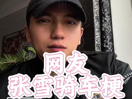 张雪汽车梗,还是网友们有才 #张雪 #张雪机车梦