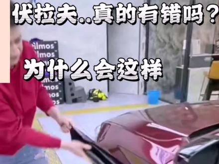 请每人一句“对不起,伏拉夫”谢谢!#伏拉夫 #爆料 #短视频