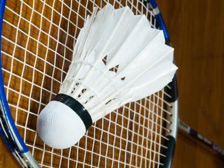 哦,学到了,原来是这个意思!你懂了吗?#羽毛球 #运动 #打羽毛球🏸 #一起来锻炼 #康发体育 @DOU+小助手