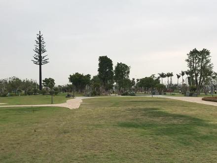 你肯定没见过用A3这么大的纸折的歼20纸飞机,我来替你体验一下 #纸飞机 #仿真纸飞机 #折纸