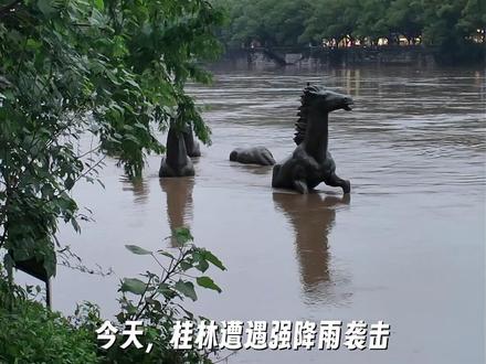 今天,桂林遭遇强降雨袭击,部分道路出现短时积水内涝, 此前建成的移动式防洪墙正式“上岗”,全力守护城市安全!