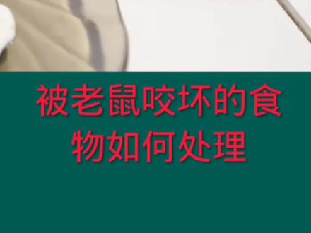 老鼠咬过的东西怎么处理,明明白白的#除虫灭鼠 #希望能帮到有需要的人 #每天跟我涨知识 #除四害 #希望这个视频对大家有所帮助
