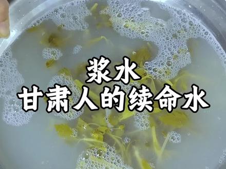 春天的第一口苜蓿浆水做起来,外人人嫌它酸,但它是甘肃人的续命水,它的价值无处不在#甘肃浆水#抖音美食推荐官 #这将是我的bistro招牌菜#抖音美食