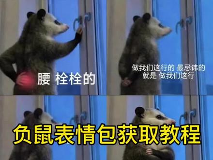 #负鼠表情包 #负鼠 #小老鼠表情包 这个班我是不想上了,你们要的负鼠表情包获取教程来了#用负鼠表情包打开雨霖铃