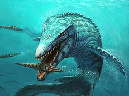 沧龙VS霸王龙。谁才是白垩纪之王#科普 #涨知识 #沧龙