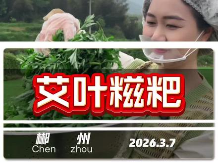 春天的打开方式怎么能少的了艾叶糍粑呢?#艾叶糍粑 #艾草青团 #艾叶粑粑 #郴州印象