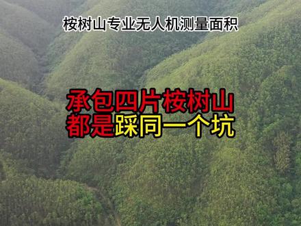 承包四片桉树山,都是踩同一个坑,#桉树测量 #桉树 #桉树种植 #无人机测量 #桉树高产
