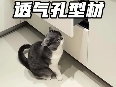 厨房灶下透气孔怎么做,可以用新型免拉手透气铝型材。通风 美观 好打理#汕头装修#厨房透气孔设计 #厨房好物 #厨房装修 #燃气灶透气孔
