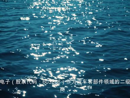 解读分析一家公司 日盈电子603286