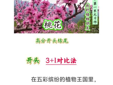 #三下语文 第1单元习作,#我的植物朋友#描写桃花