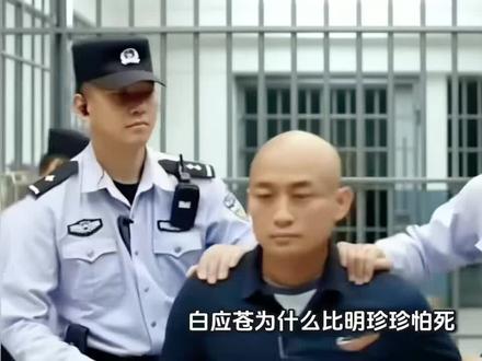 白应苍为什么比明珍珍怕死?