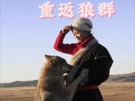 欢迎收听《千里寻你重返狼群》#李微漪 #格林#重返狼群