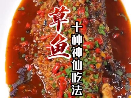 草鱼的十种吃法。#美食趣胃计划#抖音美食推荐官 #来吃鱼