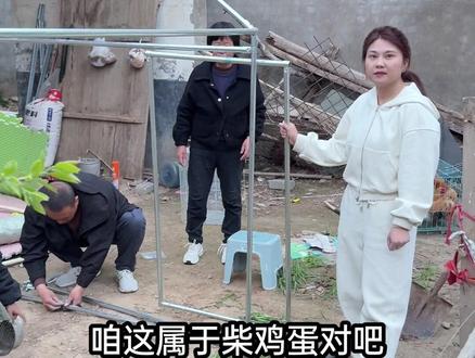 黄鼠狼进家咬了大鹅,5只鸡咬断了3条腿,媳妇气不过下本钱给小 鸡建了鸡舍