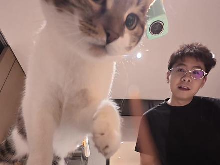 给一家10口提前搞点年夜饭备起来 #猫咪vlog #猫饭