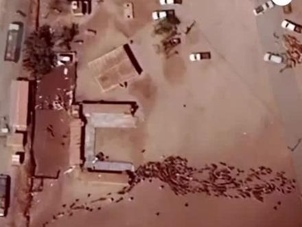 当放大苏丹的时候有一圈巨大红色矩形#谷歌地图#苏丹🇸🇩#苏丹内战