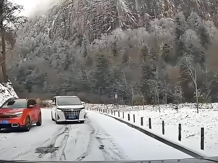 国产埃尔法是谁?#埃尔法