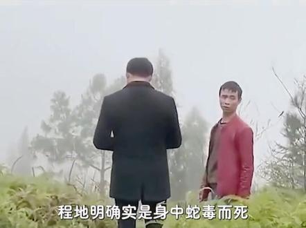 湖南捕蛇人遭蛇群报复!死后坟头还有蛇群聚会,蛇会记仇吗?#未解之谜 #探索 #奇闻异事